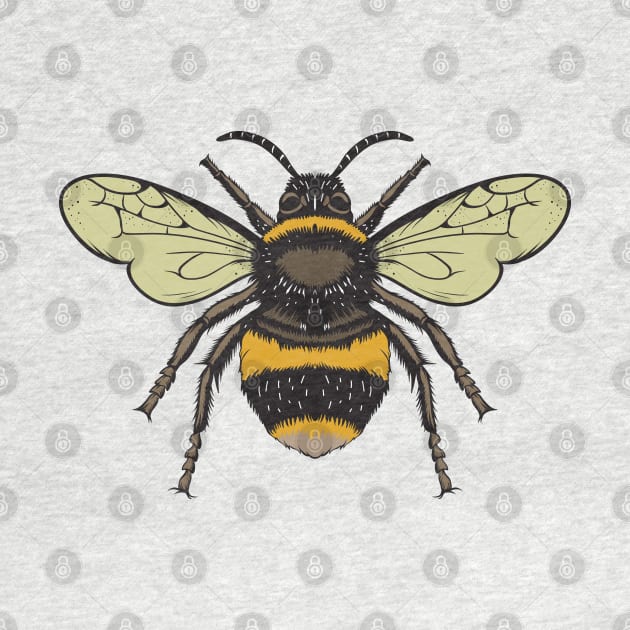 Vintage Bee by KsuAnn